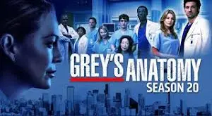 Anatomia lui Grey Sezonul 20 Episodul 10