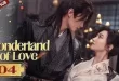 The wonderful land of love Episodul 4